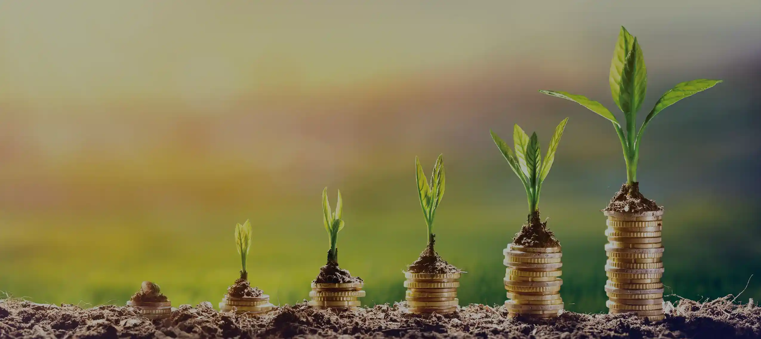 Stacked coins and growing plants symbolizing utility bill savings and capital retention through off-site solar programs